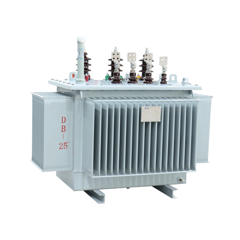 4000 Kva Three Phase Oil Immersed Transformer